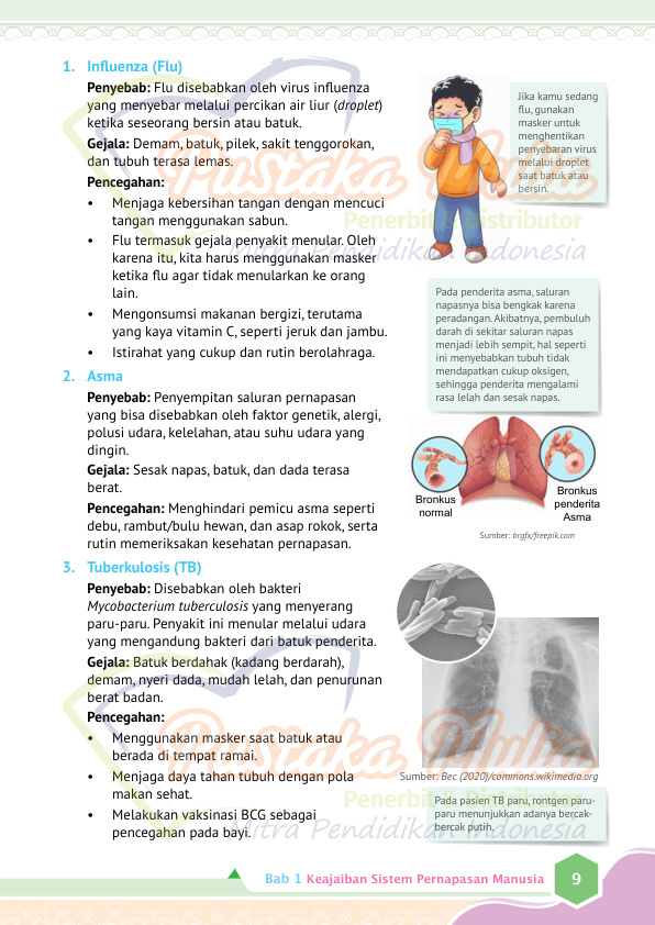 Halaman 17