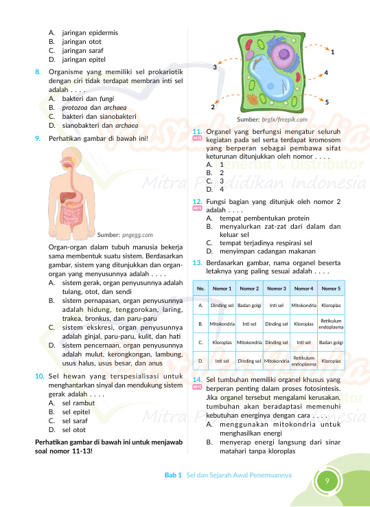 Halaman 17