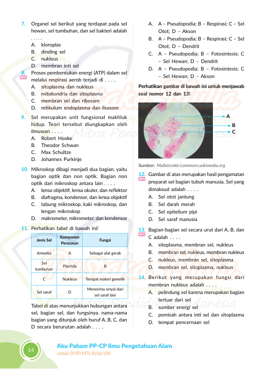 Halaman 22