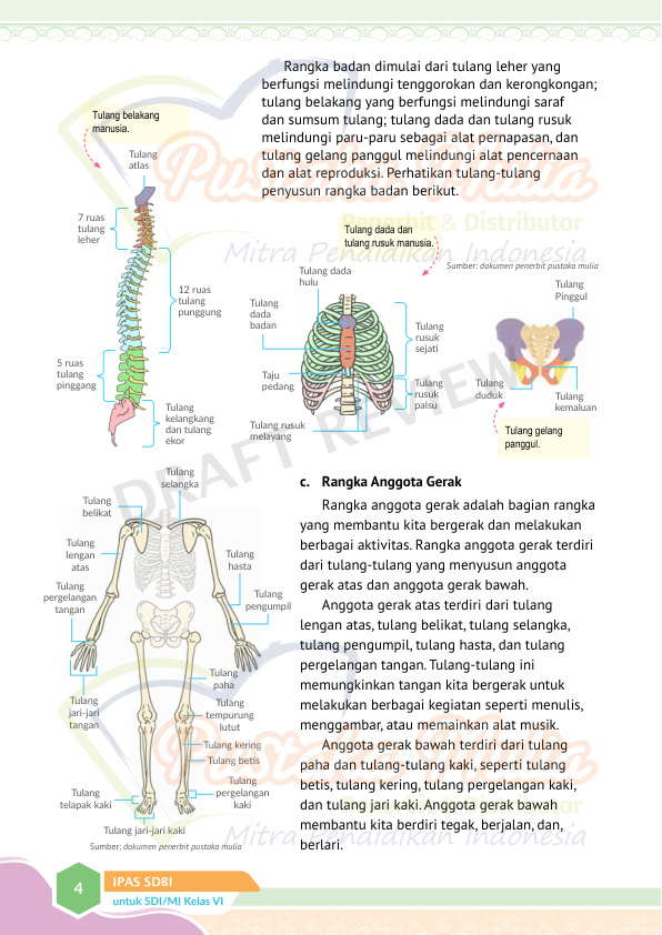 Halaman 12