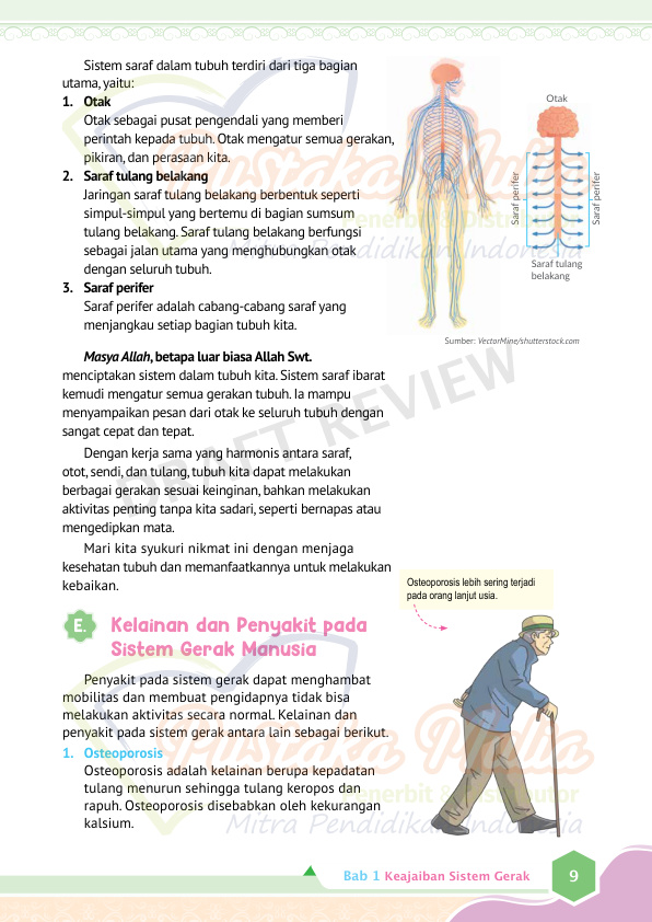 Halaman 17