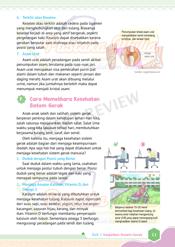 Halaman 19