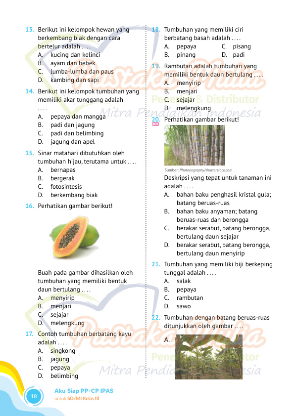 Halaman 24