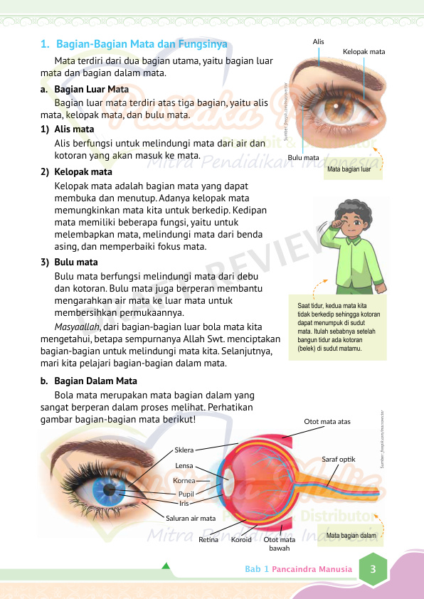 Halaman 11