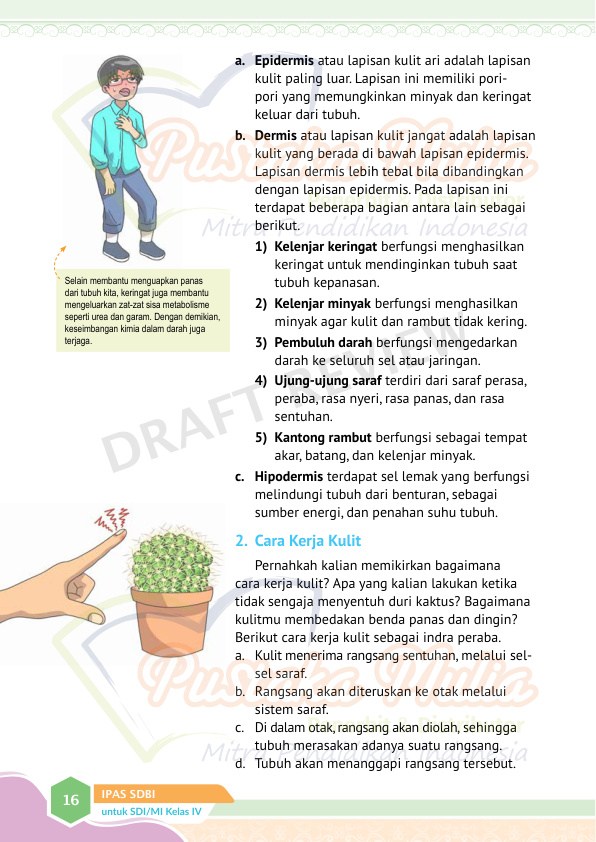Halaman 24