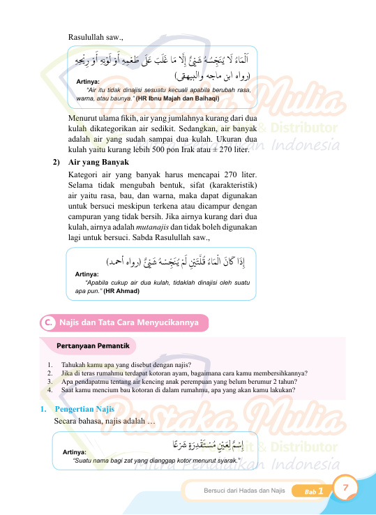 Halaman 17